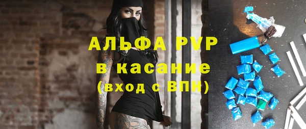 индика Белоозёрский