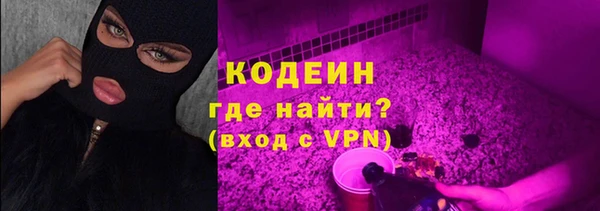 индика Белоозёрский