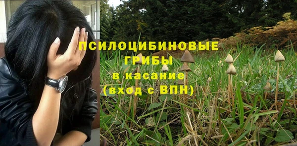 соль курить ск Богородск