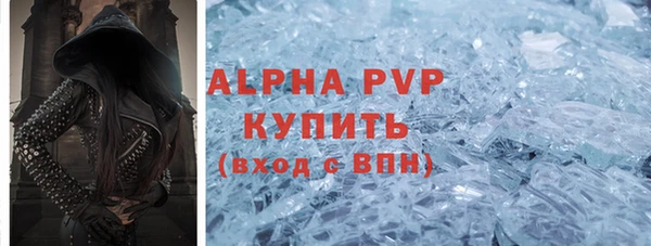 шишки Шадринск