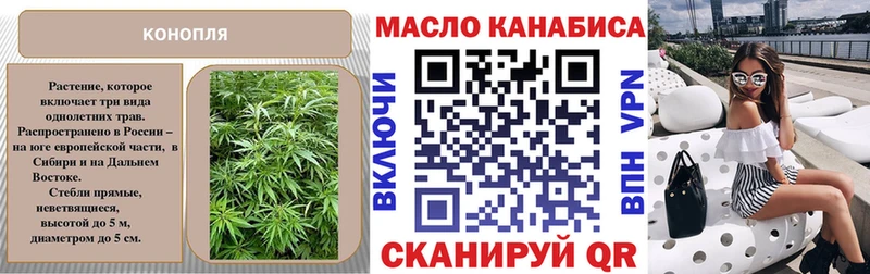 Купить где  Кузнецк  ТГК концентрат 