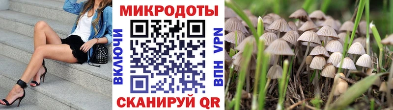 Купить  Кузнецк  Псилоцибиновые грибы Magic Shrooms 